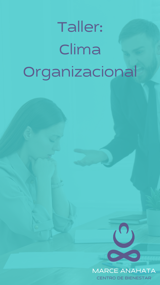 Taller clima organizacional